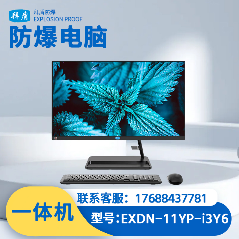拜盾防爆一体机电脑i3处理器系列16GB+256GB SSD+1T HDD EXDN-11YP-i3Y6